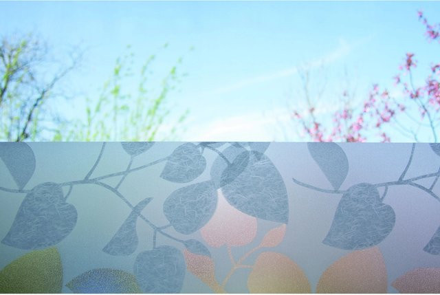 d-c-fix Fensterfolie Premium Amena Blätterprint transparent weiß B/H: 67,5 x 150 cm - Bild 1