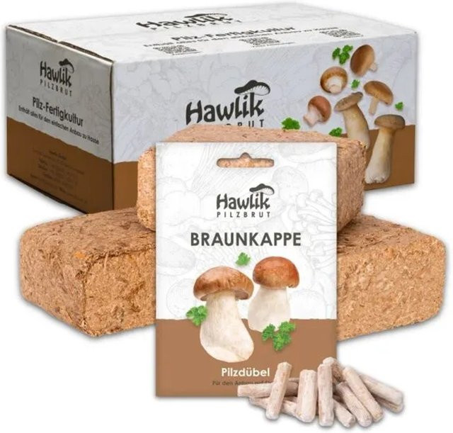 Hawlik Pilzbrut Braunkappe Pilzbeet-Set mit Substrat und Myzel für die einfache Pilzzucht im Garten - Bild 1