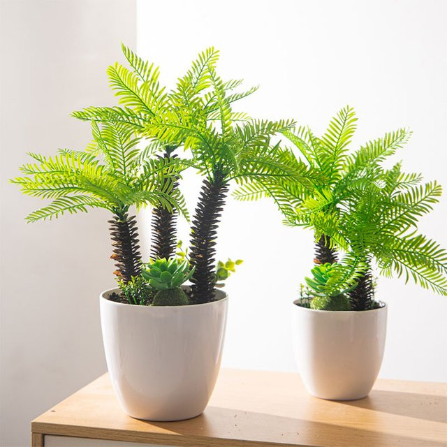 Künstliche Palme mit Sukkulenten von Kmitang in Grün, tropische Kunststoff-Kokosblätter für die Dekoration zu Hause und im Büro, Höhe: 40 cm, Breite: 33 cm - Bild 1