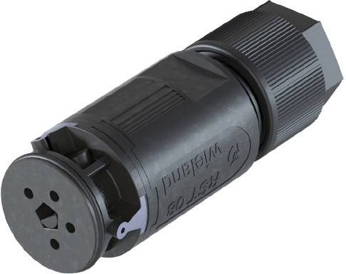 Wieland Electric 4L.041.3041.4 Steckverbinder in Grau und Schwarz - Bild 1