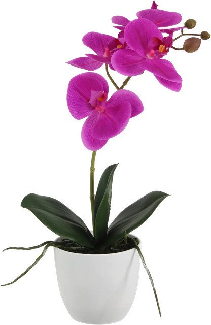 Künstliche Orchidee Juan von Aplanta, Tischdeko, Höhe: 36 cm - Bild 1