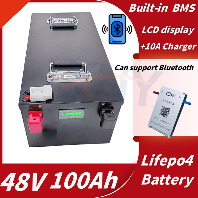 XNY Lithium 48V 100Ah LiFePO4 Batterie mit BMS und 58,4V 10A Ladegerät in Schwarz - Bild 1