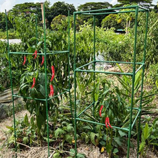 Amusedly Tomatenkäfig Set, höhenverstellbares Gemüsegitter für vertikale Kletterpflanzen und Blumen - Bild 6