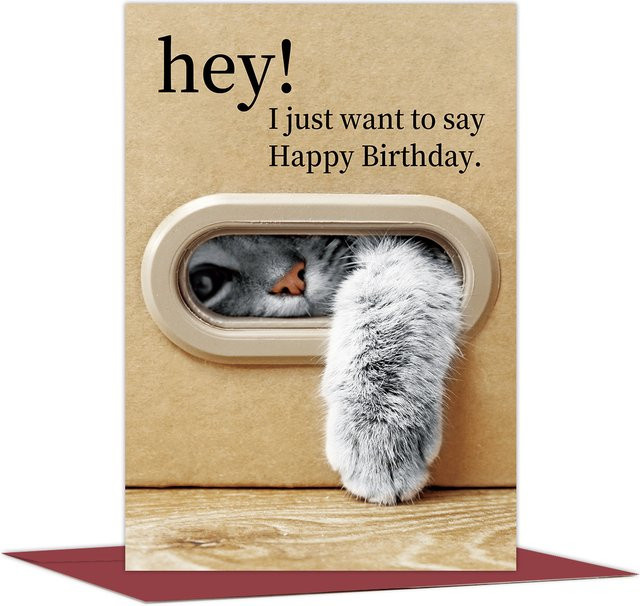 Geburtstagskarte mit Katzen-Design und Umschlag für Katzenliebhaber - Bild 1