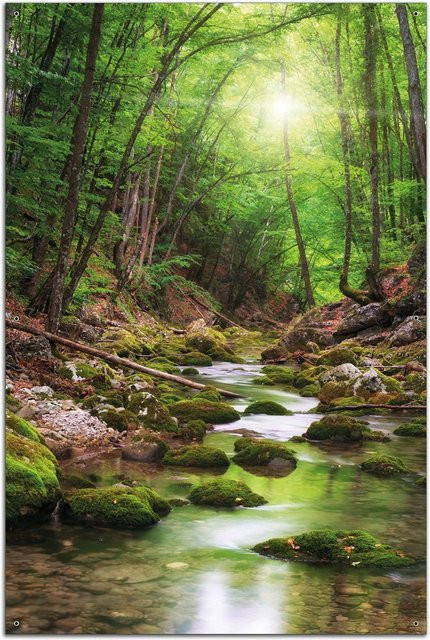 Wallario Gartenposter Fluss im Wald Naturlandschaft Grün Breite: 60 cm, Höhe: 90 cm - Bild 1