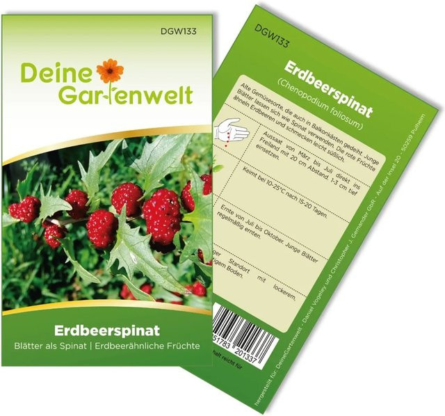 Deine Gartenwelt Erdbeerspinat Strawberry Spinach Gemüsesamen 3,0 g - Bild 1