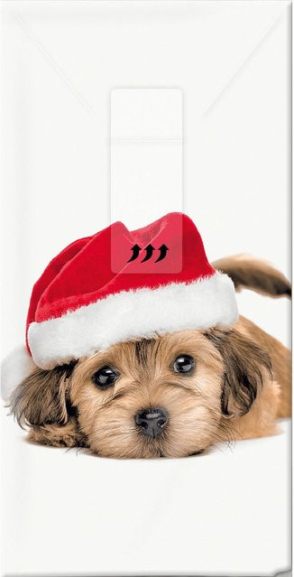 Paper Design Papiertaschentücher Sweet Santa Dog Multicolor für Weihnachten - Bild 1