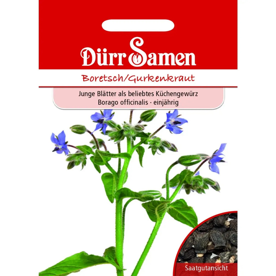 Dürr Boretsch Gurkenkraut Saatgut für den Küchengarten und das Gemüsebeet, 50 g - Bild 2