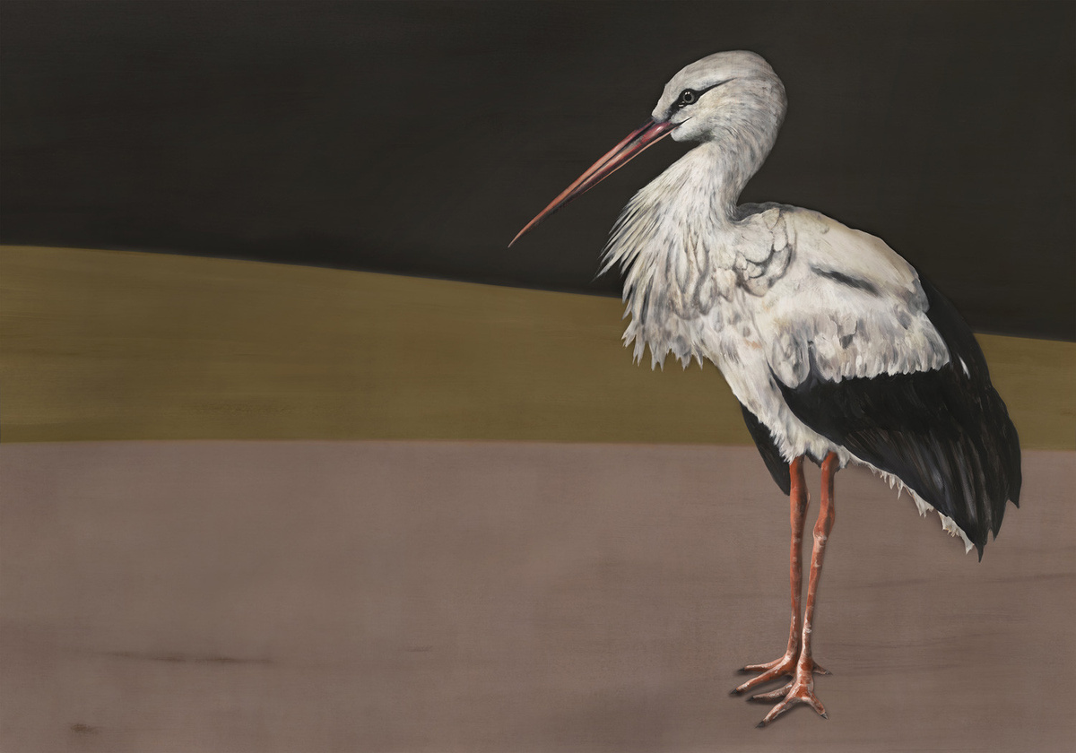 Coordonné Wandtattoo Stork Mother in Schwarz und Grau - Bild 2