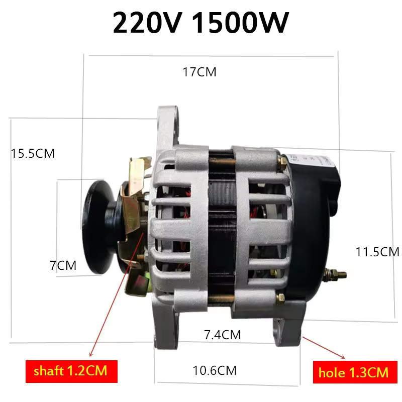TUNGFULL Hochleistungs-Generator Bürstenlos mit Permanentmagnet und Kupferdrahtkern 220V Wechselstromgenerator in Silber - Bild 2