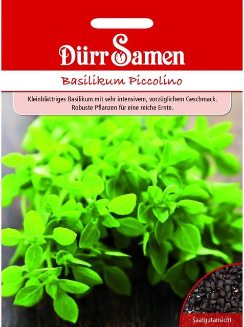 Dürr Basilikum Piccolino Saatgut 100 g - Bild 1