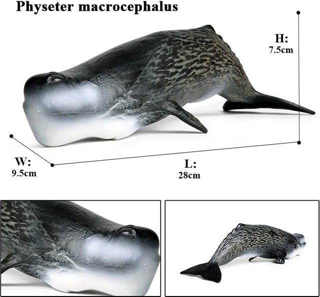 Oenux Meeresleben Actionfiguren Megalodon Beluga Hai Orca Pottwal Blauwal - Bild 1