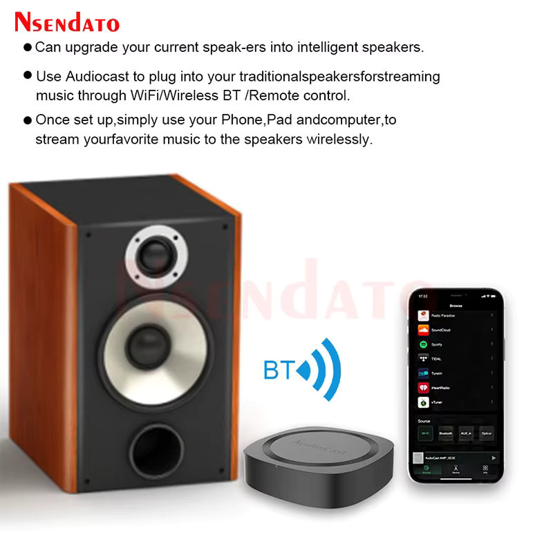 IEAST Audiocast Pro M20 Kabelloser WiFi-Audio-Musikempfänger mit Bluetooth 5.0 für Multi-Room-Hifi-Systeme, Schwarz - Bild 2