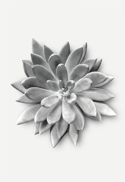 Komar Wandbild Succulent Agave aus Qualitätsvlies, Breite: 50 cm, Höhe: 70 cm - Bild 1