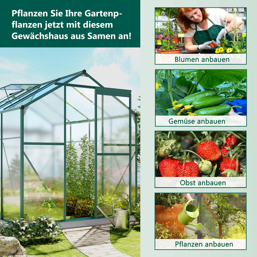 Gartengewächshaus aus Aluminium mit Fundament, Schiebetür und Dachfenster, B/T: 190 x 253 cm - Bild 2