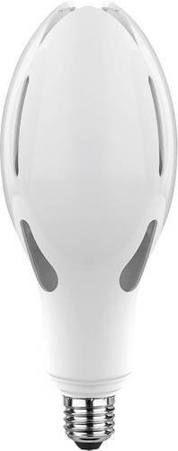 V-TAC LED Leuchtmittel E27 36W mit 6500K Cool White in Weiß - Bild 1
