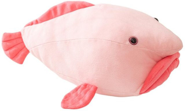 Binchi Fitness Clownfisch Plüschkissen, Rosa, 36cm, ab 14 Jahren - Bild 1