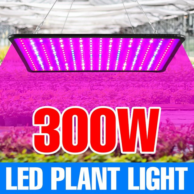 CanLing 300 W LED Vollspektrum Quantum Board Pflanzenlampe für Indoor Pflanzen in Schwarz - Bild 1