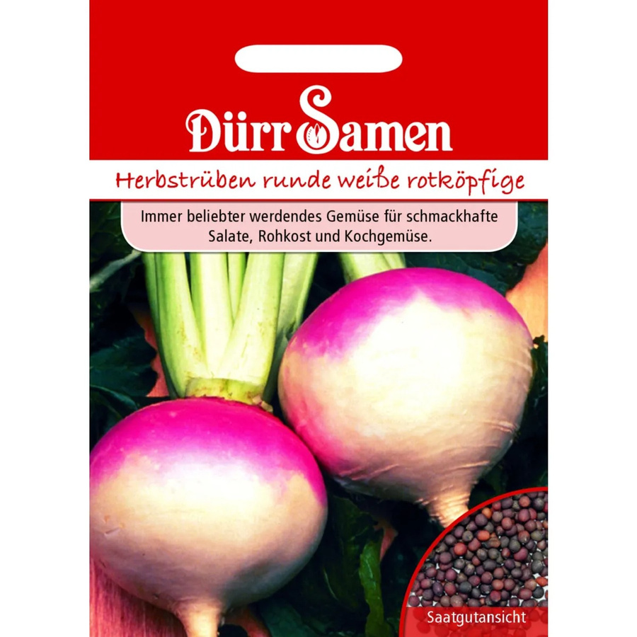 Dürr Samen Herbstrüben Runde Weiße Rotköpfige Salat Saatgut 500 g - Bild 2