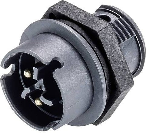 Wieland Electric Geräteanschluss in Grau 4L.022.4041.4 - Bild 1