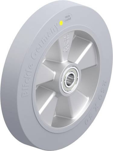Blickle ALEV 250/20K-SG-AS Schwerlast-Rad in Grau mit Aluminium-Komponenten, Durchmesser: 250 mm, Tragfähigkeit: 550 kg - Bild 1