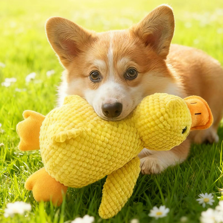 Beruhigendes Entenspielzeug für Hunde, quietschend, weich - Bild 5