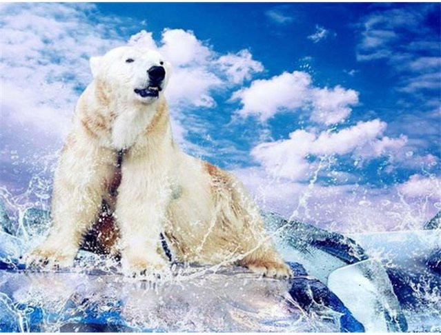 Diamantmalerei FIYO Eisbär im Winter mit Vollrundbohrern, Motiv Tier und Natur in Grau und Weiß, B/H: 20 x 30 cm - Bild 1
