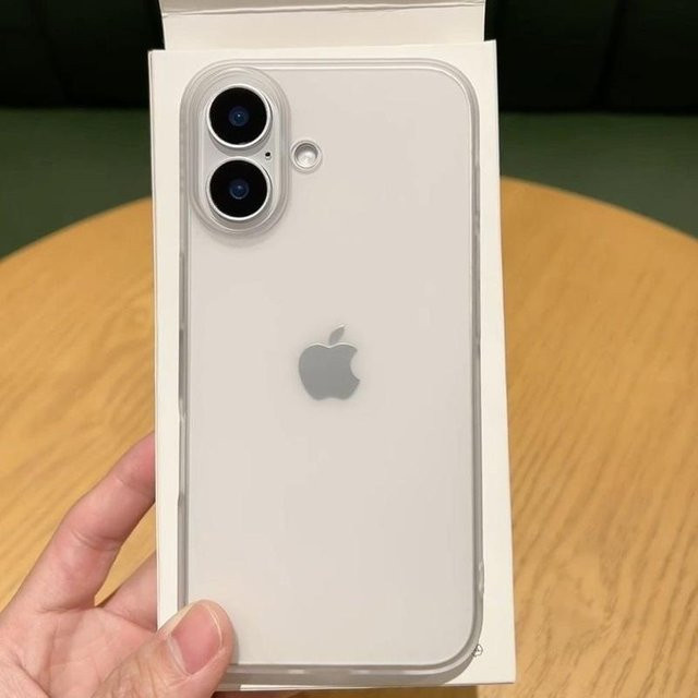 Rui Di Stoßfeste Handyhülle aus mattem Hartplastik für iPhone 17 16 15 14 13 12 Pro Max Plus in Transparent - Bild 1