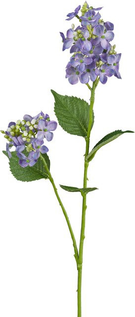 Kunstblume Wildhortensie von GASPER in Purple, Höhe: 66,0 cm - Bild 1