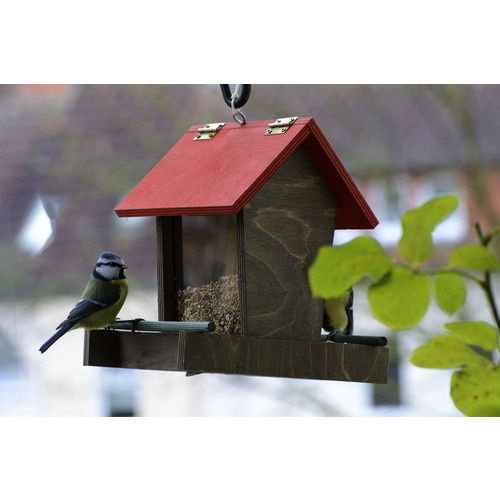 DOBAR Vogelfutterspender aus Holz und Acrylglas in Braun, Rot und Grün - Bild 3