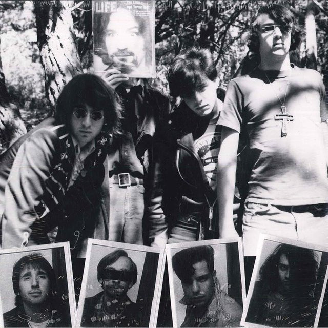 Dwarves - Lick It (Die psychedelischen Jahre) LP Schallplatte von Recess Records in Grau - Bild 1