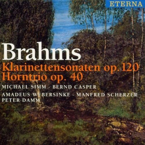 Brahms Sonate für Klarinette und Klavier CD mit Simm, Casper und Webersinke in Grau - Bild 1