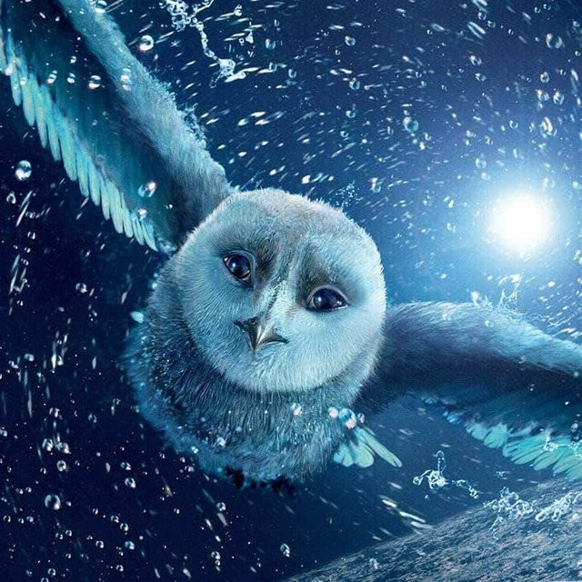 Diamant-Malerei FIYO mit Eisvogel und Eule, Stickerei mit runden Strass-Steinen in Grau und Blau, B/H: 30 x 30 cm - Bild 1