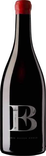 Bauer Servator Cuvée Rotwein, Pfalz, 2022, trocken, 0,75 l - Bild 1