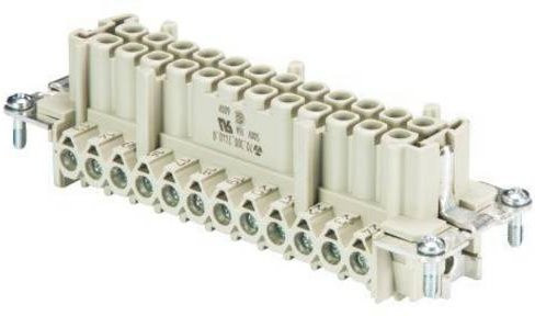 Wieland Electric Buchseneinsatz BAS 70.300.2440.0 mit 24 Polen in Beige - Bild 1