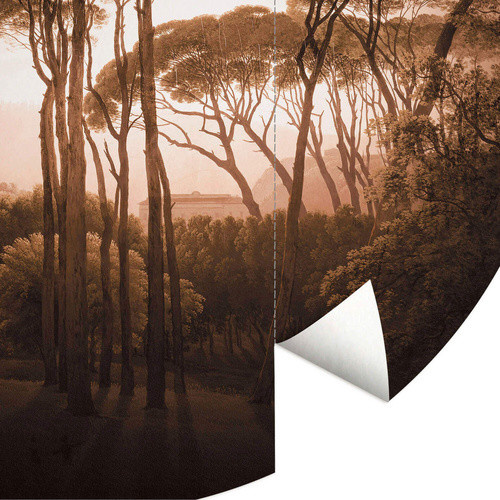 K&L Wall Art Runde Vliestapete Retro Wald Sepia Urwald Foto, mehrfarbig und matt, B/H: 236 x 236 cm - Bild 2