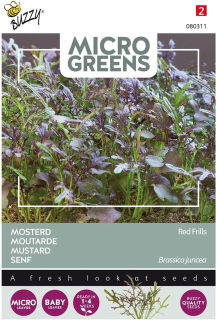 Buzzy Microgreens Blattsenf Red Frills Samen für Microgreens 1 g - Bild 1