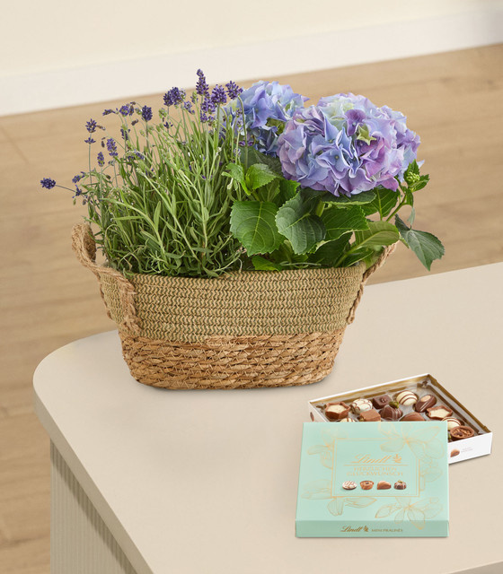Lindt Pralinés Sommertraum Glückwunsch 100 g - Bild 1
