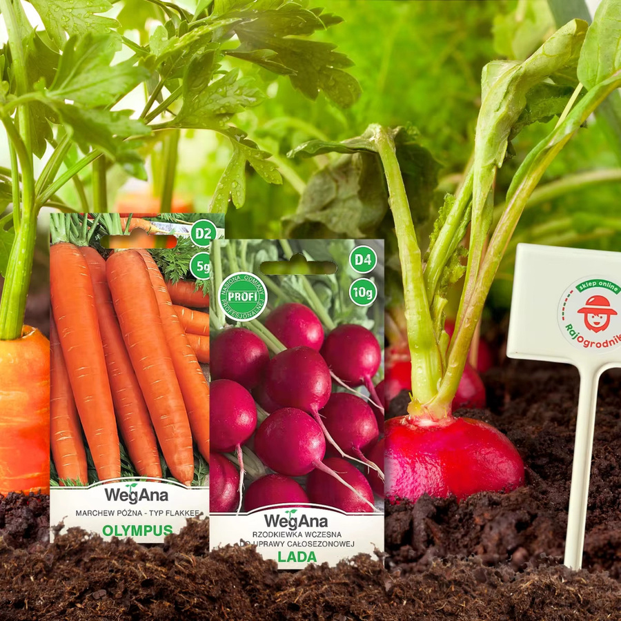 VegAna Kräutersamen-Set mit 21 verschiedenen Sorten und Pflanzenetiketten in Mehrfarbig - Bild 2