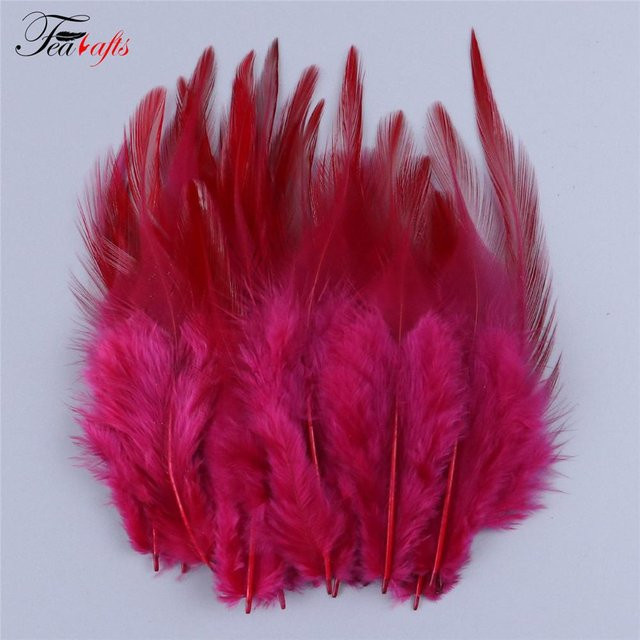 100 Stück Hahnenfedern in Rosa und Multicolour für Schmuckherstellung, Fliegenbinden und DIY-Handwerk - Bild 1