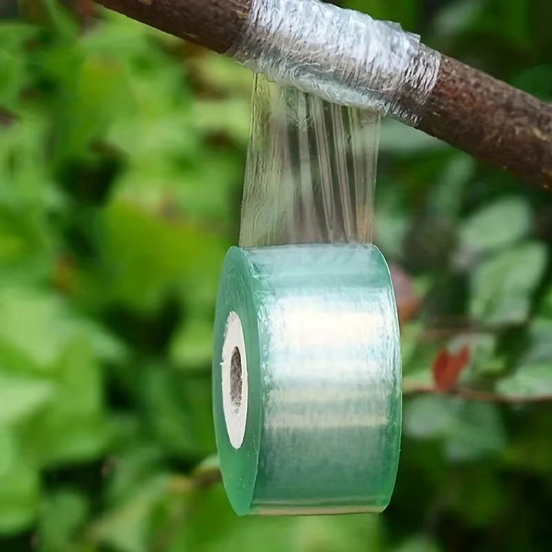 Selbstklebendes PE-Pfropfband in Transparent für Gartenbau und Pflanzenpflege von Sämlingen, Reben und Tomaten - Bild 3