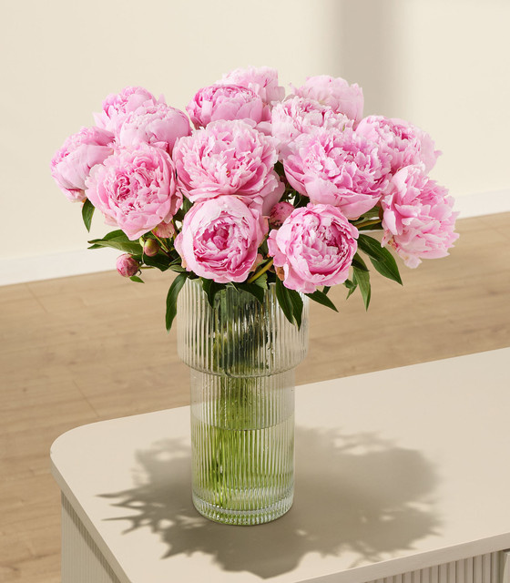 BLUME2000 Pfingstrosen pink 15 Stiele - Bild 1