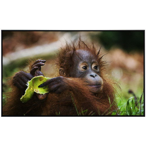 papermoon EcoHeat Infrarotheizung Baby Orang-Utan, bunt mit Matt-Effekt, App-Steuerung und Überhitzungsschutz - Bild 2