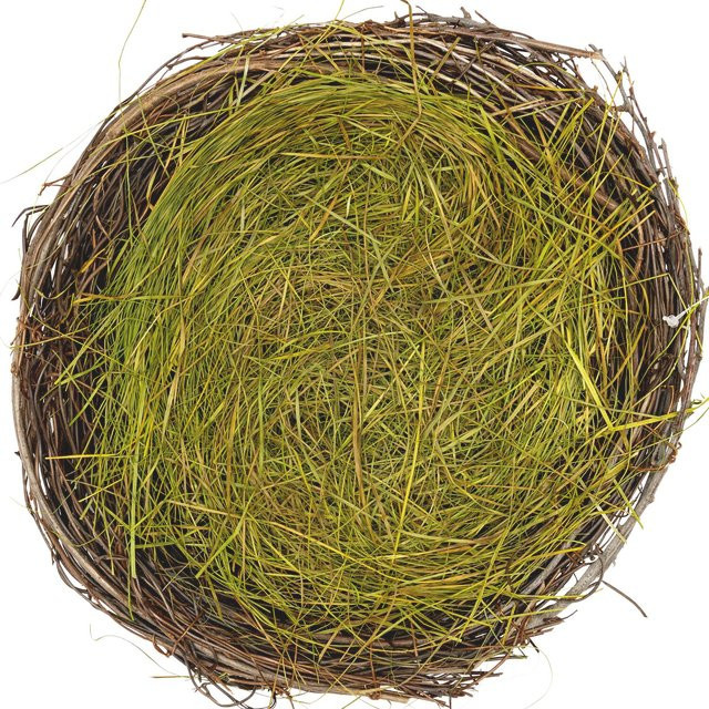 Rico Design Naturnest mit Ostergras in Braun-Grün, Höhe: 25 cm - Bild 1