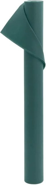 vidaXL Wintervlies zum Schutz von Gartenpflanzen in Grün, 10 x 1,6 m, 70 g/m² - Bild 1