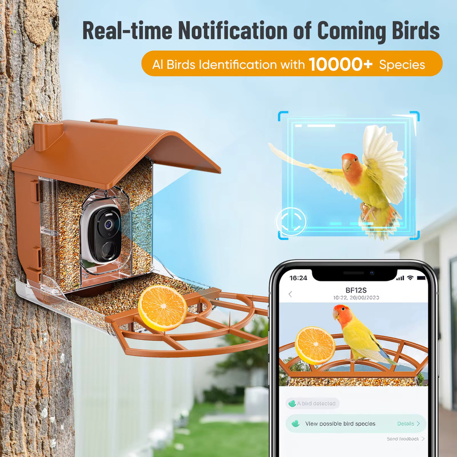 Jugacool Smart Vogelfutterstation mit HD AI Kamera, solarbetriebene Wildvogelbeobachtungskamera für den Außenbereich in Grau mit Wi-Fi - Bild 4