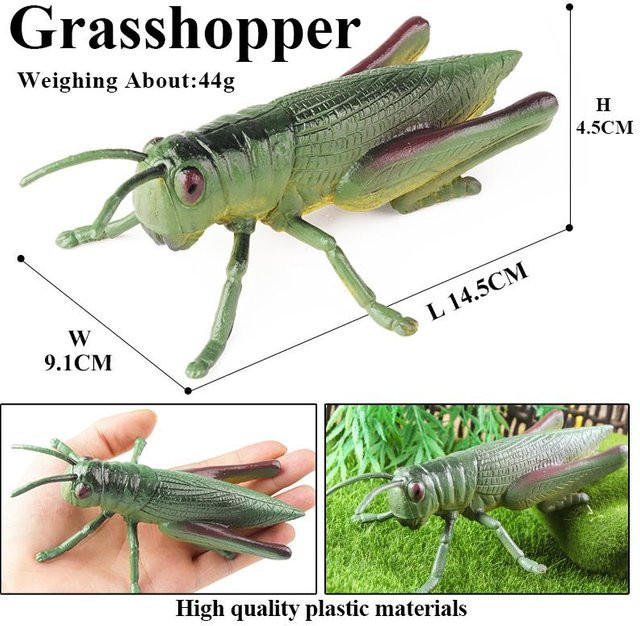 Oenux Insekten Tiere Modell Figur Schmetterling Ameise Libelle Spinne Biene Gottesanbeterin Skorpion Actionfiguren Lernspielzeug ab 3-6 Jahre - Bild 1