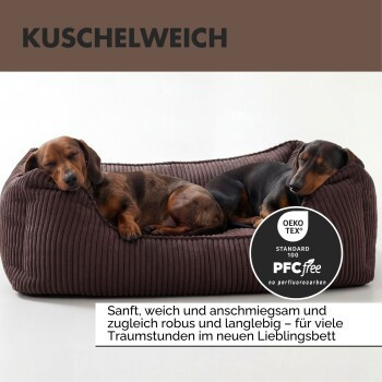 PAW WOW Hundebett ANTON Orthopädisches Sofa aus Cord in Braun, Größe L - Bild 2