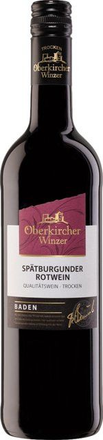 Oberkircher Winzer eG Rotwein Pinot Noir 2023, Baden, trocken, 0,75 l - Bild 1