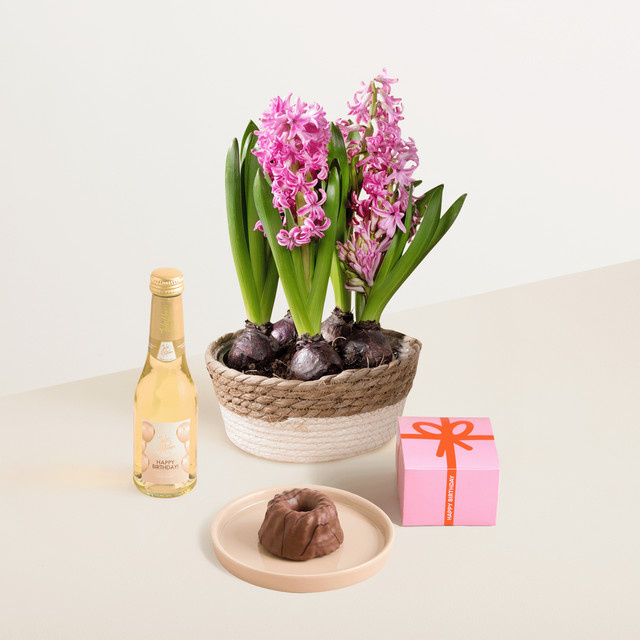 BLUME2000 Geschenkset mit zarten Knospen im Korb, Geburtstagsküchlein und Sekt - Bild 1